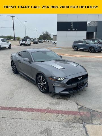 2022 Ford Mustang Vehicle Photo in STEPHENVILLE, TX 76401-3713