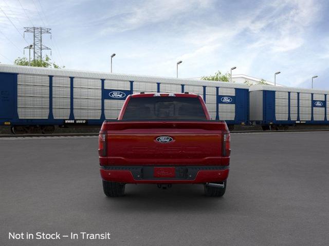 2024 Ford F-150 Vehicle Photo in STEPHENVILLE, TX 76401-3713