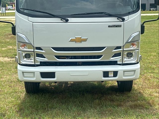 2024 Chevrolet Low Cab Forward 4500 Vehicle Photo in DUNN, NC 28334-8900