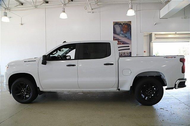 2024 Chevrolet Silverado 1500 Vehicle Photo in MEDINA, OH 44256-9001