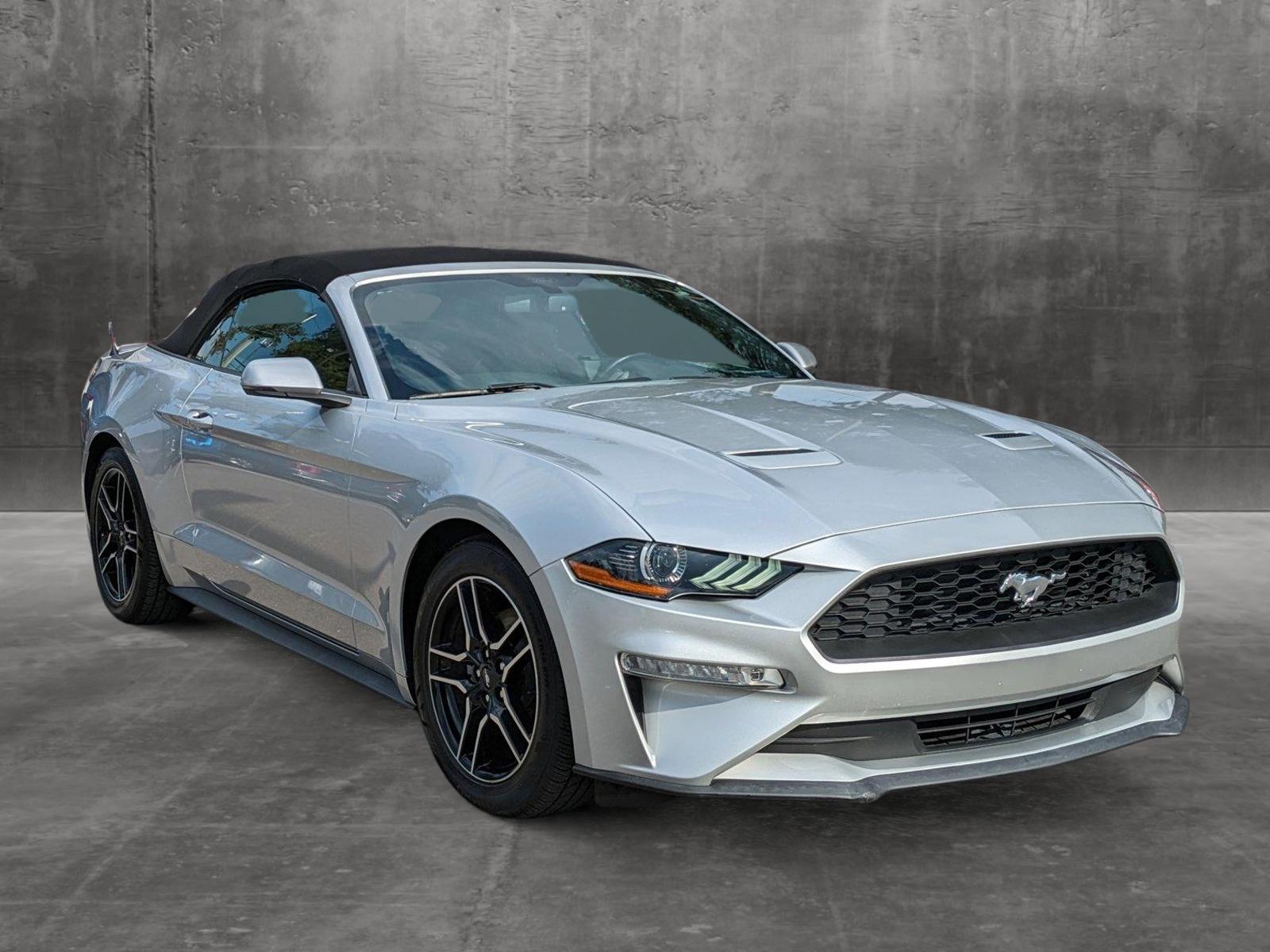 2019 Ford Mustang Vehicle Photo in Jacksonville, FL 32244