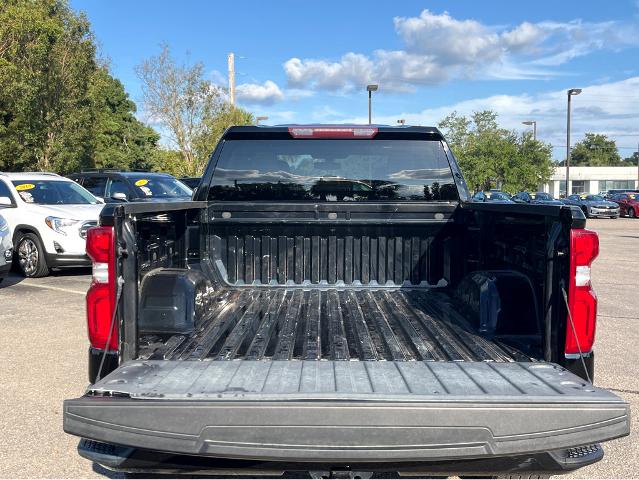 2019 Chevrolet Silverado 1500 Vehicle Photo in BEAUFORT, SC 29906-4218