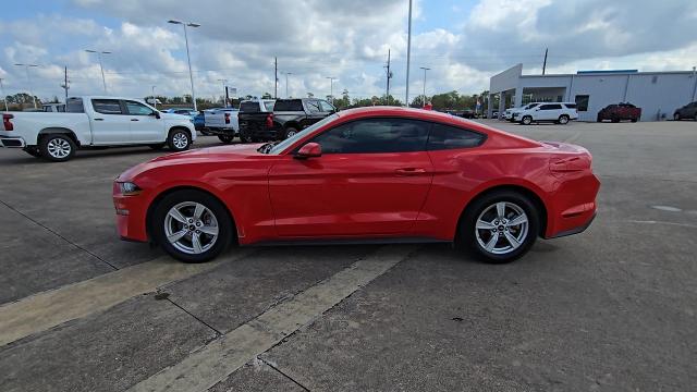 2022 Ford Mustang Vehicle Photo in CROSBY, TX 77532-9157