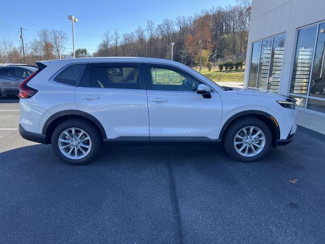 2024 Honda CR-V Vehicle Photo in INDIANA, PA 15701-1897