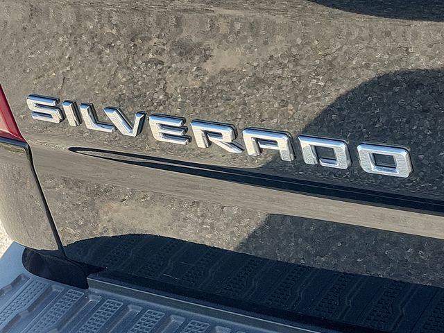 2024 Chevrolet Silverado 1500 Vehicle Photo in PAWLING, NY 12564-3219