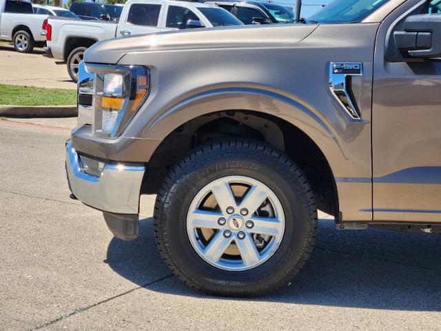 2023 Ford F-150 Vehicle Photo in Cleburne, TX 76033