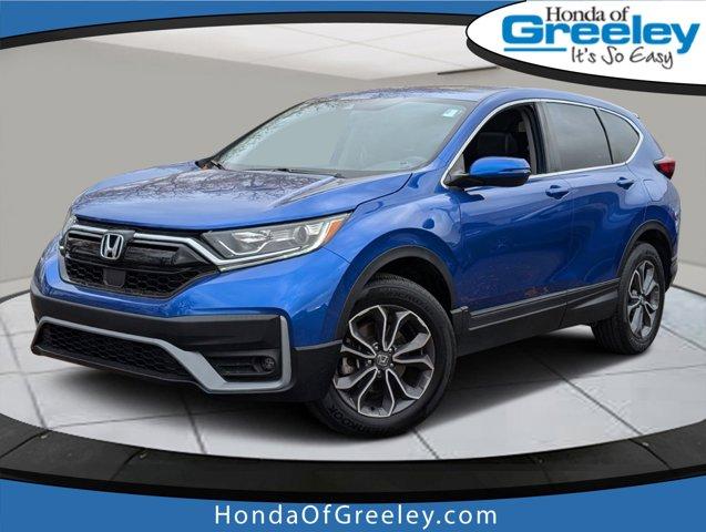 2022 Honda CR-V Vehicle Photo in Greeley, CO 80634-8763