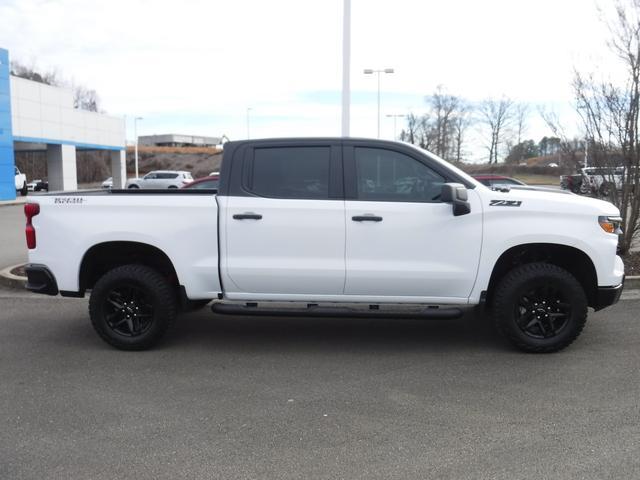 2024 Chevrolet Silverado 1500 Vehicle Photo in JASPER, GA 30143-8655