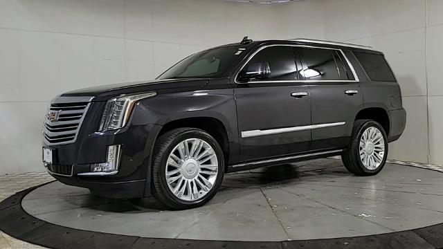 2019 Cadillac Escalade Vehicle Photo in JOLIET, IL 60435-8135