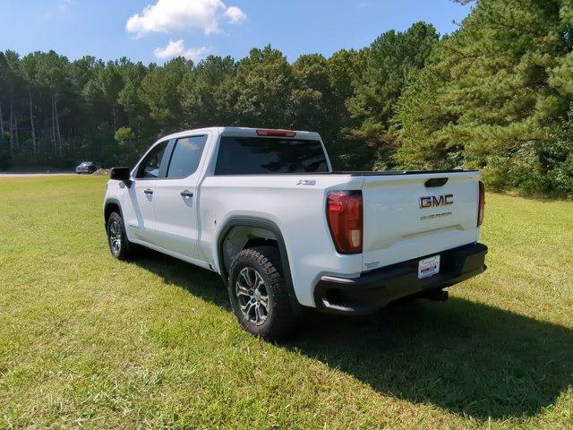 2024 GMC Sierra 1500 Vehicle Photo in ALBERTVILLE, AL 35950-0246