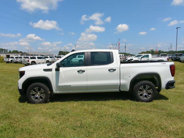 2024 GMC Sierra 1500 Vehicle Photo in ALBERTVILLE, AL 35950-0246