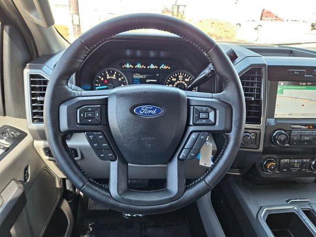 2019 Ford F-150 Vehicle Photo in SELMA, TX 78154-1459