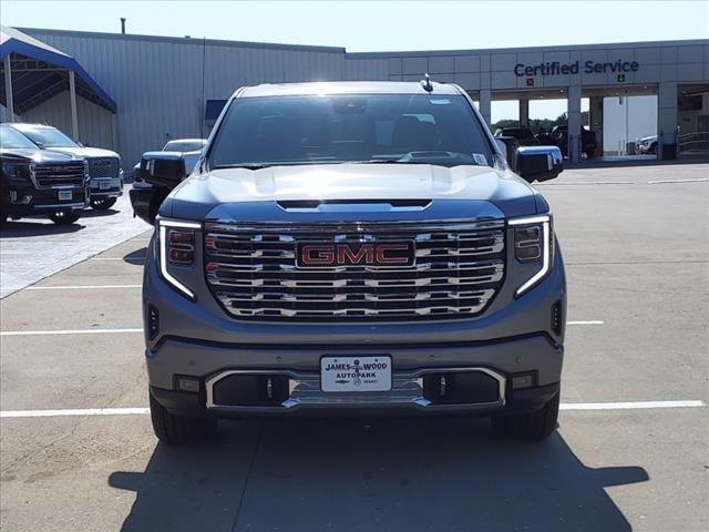 2025 GMC Sierra 1500 Vehicle Photo in Denton, TX 76205