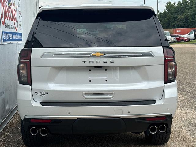 2024 Chevrolet Tahoe Vehicle Photo in DUNN, NC 28334-8900