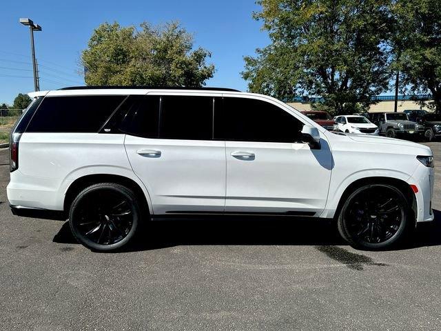 2021 Cadillac Escalade Vehicle Photo in GREELEY, CO 80634-4125