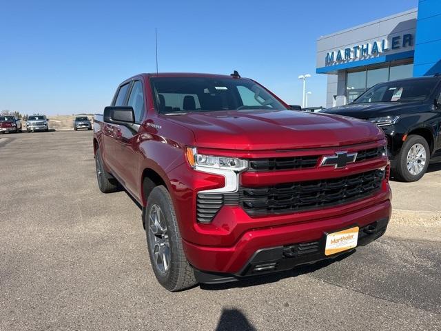 2024 Chevrolet Silverado 1500 Vehicle Photo in GLENWOOD, MN 56334-1123