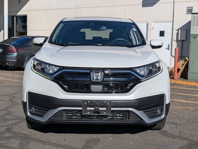 2020 Honda CR-V Vehicle Photo in Greeley, CO 80634-8763