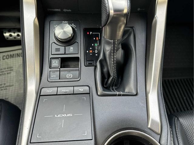 2019 Lexus NX Vehicle Photo in RED SPRINGS, NC 28377-1640