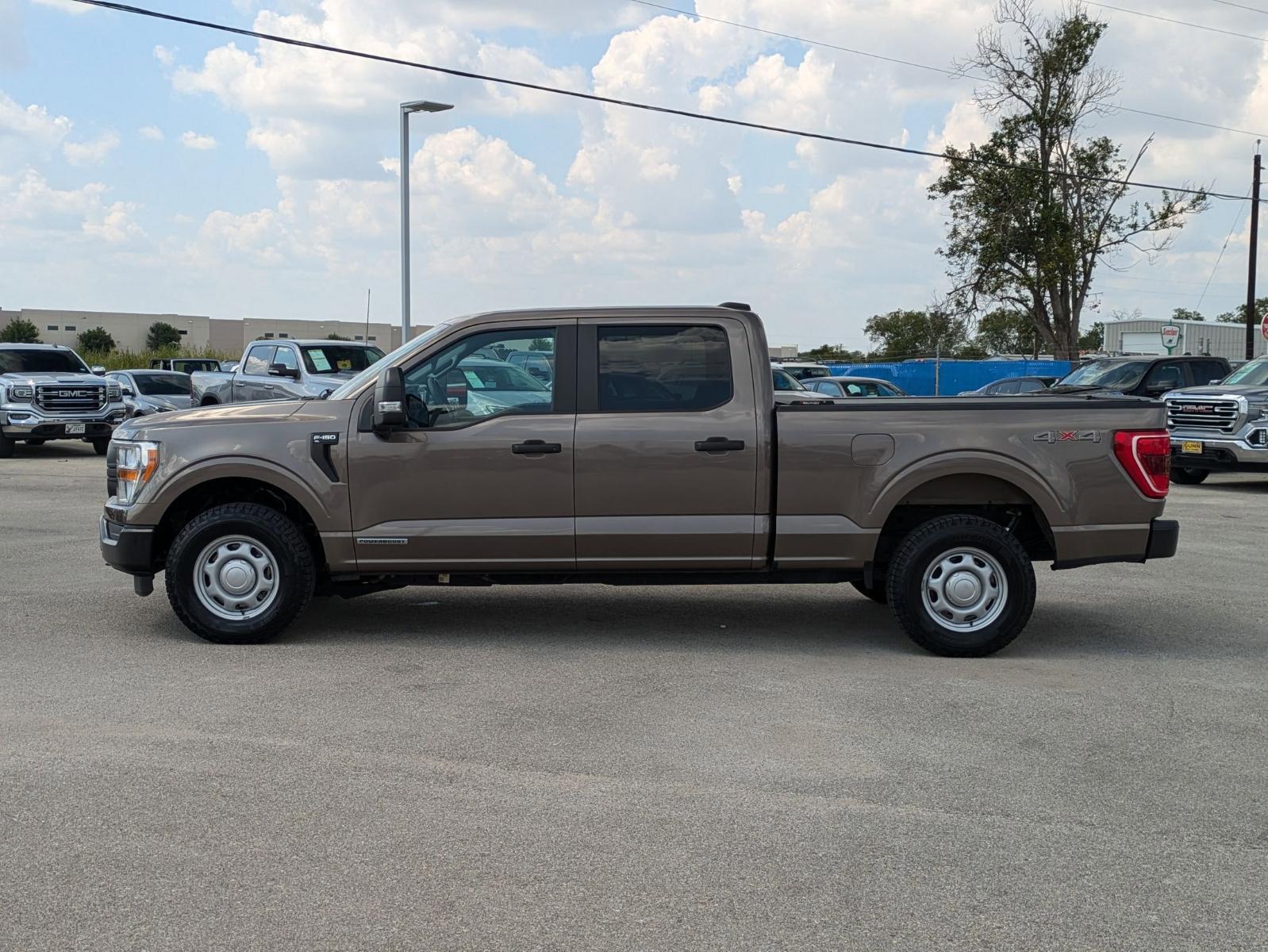 2021 Ford F-150 Vehicle Photo in Seguin, TX 78155