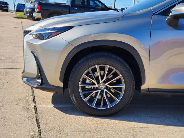 2023 Lexus NX 350 Vehicle Photo in Cleburne, TX 76033