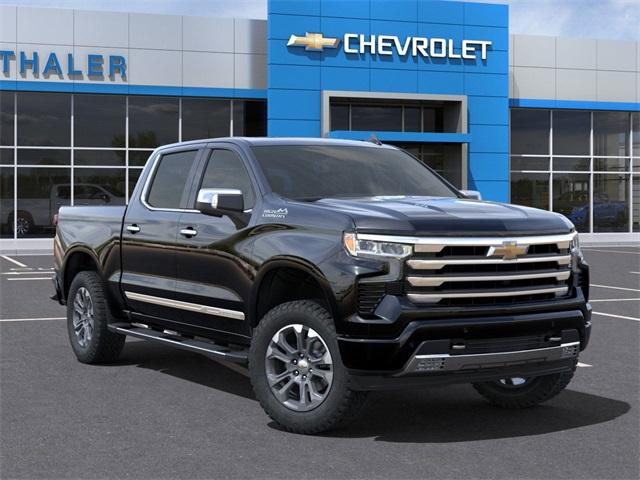 2025 Chevrolet Silverado 1500 Vehicle Photo in GLENWOOD, MN 56334-1123