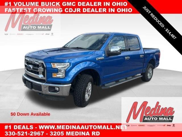 2015 Ford F-150 Vehicle Photo in MEDINA, OH 44256-9631