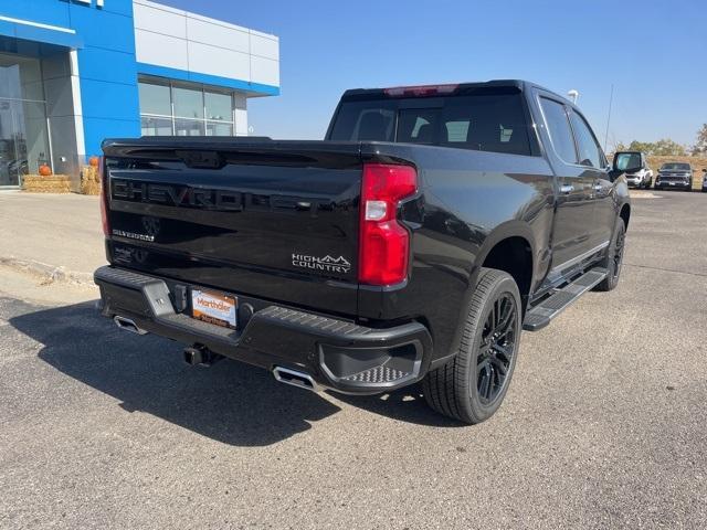 2025 Chevrolet Silverado 1500 Vehicle Photo in GLENWOOD, MN 56334-1123