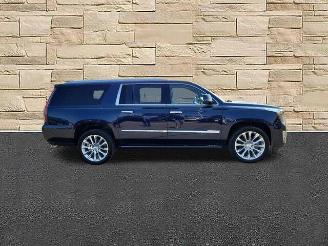 2019 Cadillac Escalade ESV Vehicle Photo in DANBURY, CT 06810-5034