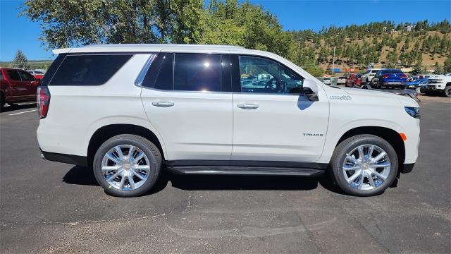 2024 Chevrolet Tahoe Vehicle Photo in FLAGSTAFF, AZ 86001-6214