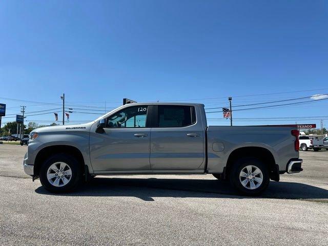 2024 Chevrolet Silverado 1500 Vehicle Photo in TUPELO, MS 38801-6508