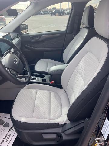 2025 Ford Escape Vehicle Photo in Winslow, AZ 86047-2439