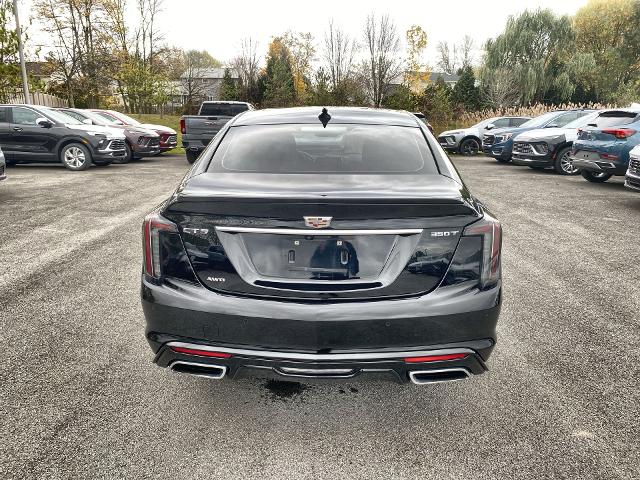 2021 Cadillac CT5 Vehicle Photo in WILLIAMSVILLE, NY 14221-2883