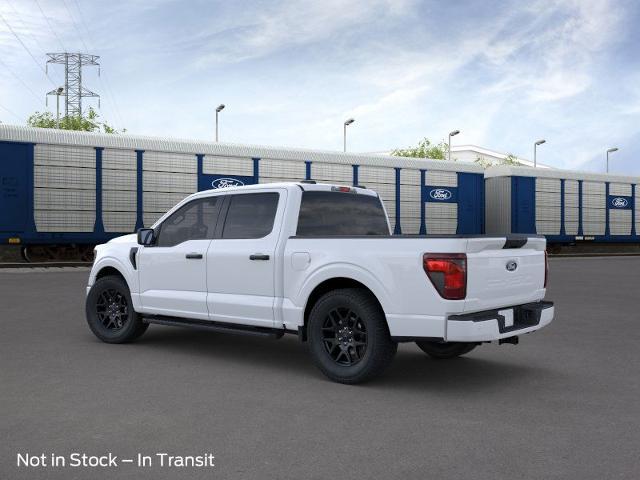 2024 Ford F-150 Vehicle Photo in STEPHENVILLE, TX 76401-3713