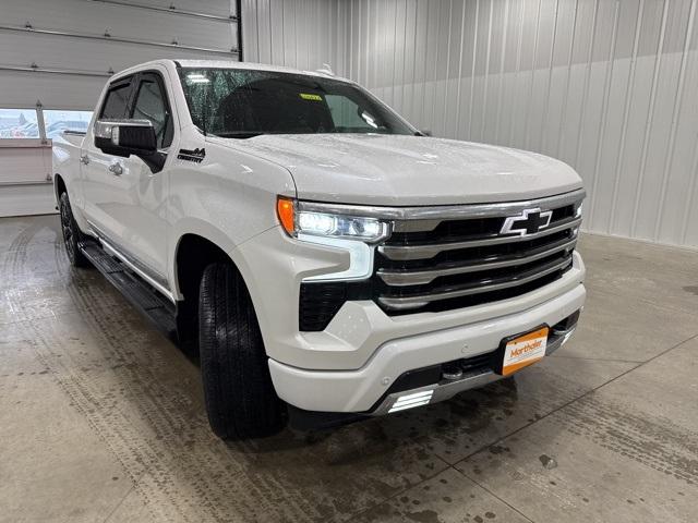 2023 Chevrolet Silverado 1500 Vehicle Photo in GLENWOOD, MN 56334-1123