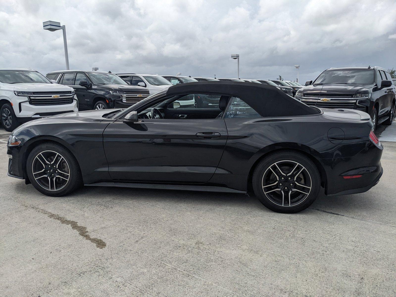 2022 Ford Mustang Vehicle Photo in MIAMI, FL 33172-3015