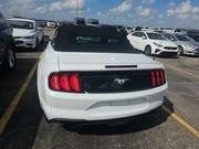 2022 Ford Mustang Vehicle Photo in Grapevine, TX 76051