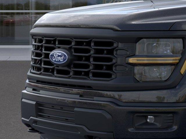 2024 Ford F-150 Vehicle Photo in Boyertown, PA 19512