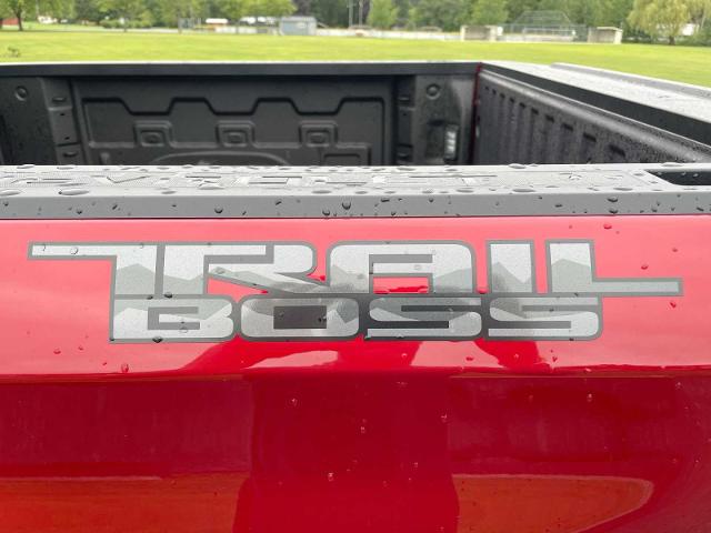 2024 Chevrolet Silverado 1500 Vehicle Photo in THOMPSONTOWN, PA 17094-9014