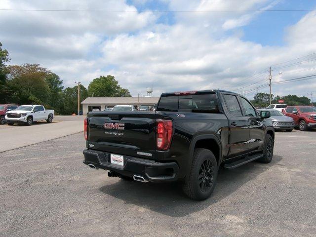 2025 GMC Sierra 1500 Vehicle Photo in ALBERTVILLE, AL 35950-0246