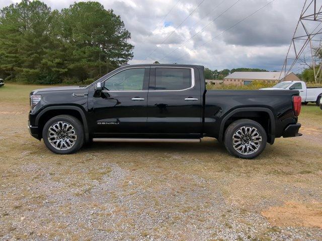 2025 GMC Sierra 1500 Vehicle Photo in ALBERTVILLE, AL 35950-0246