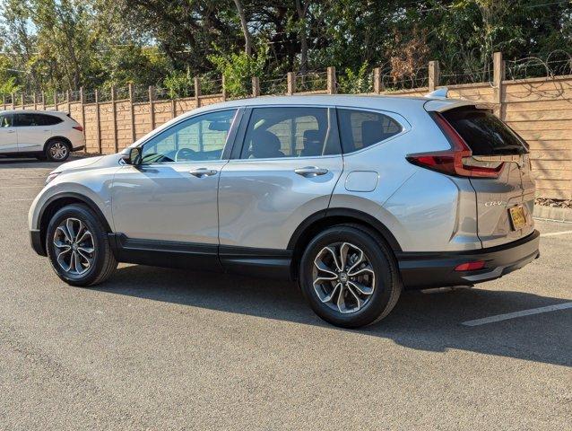 2022 Honda CR-V Vehicle Photo in San Antonio, TX 78230