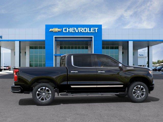 2025 Chevrolet Silverado 1500 Vehicle Photo in SELMA, TX 78154-1460