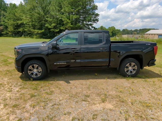 2024 GMC Sierra 1500 Vehicle Photo in ALBERTVILLE, AL 35950-0246