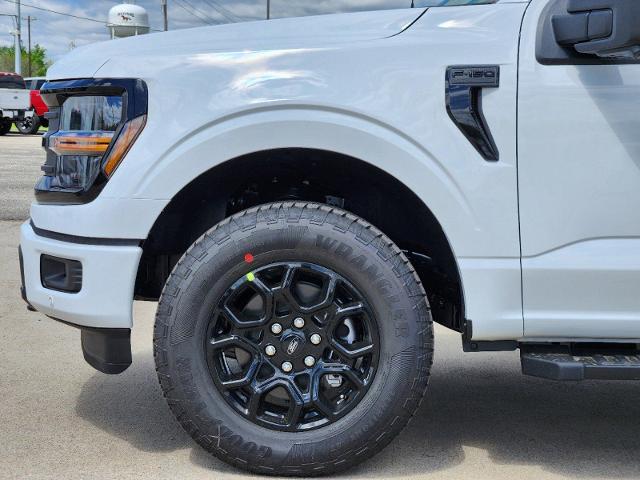 2024 Ford F-150 Vehicle Photo in Pilot Point, TX 76258