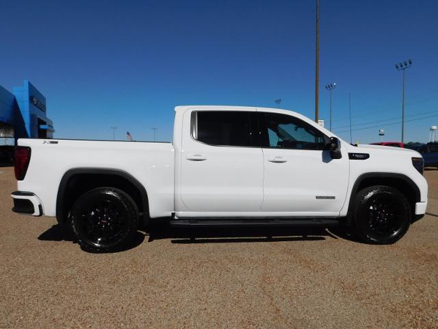 2025 GMC Sierra 1500 Vehicle Photo in GATESVILLE, TX 76528-2745