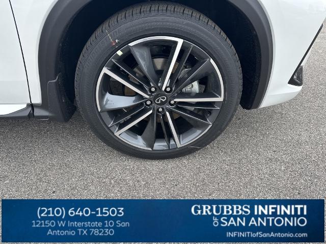 2024 INFINITI QX50 Vehicle Photo in San Antonio, TX 78230