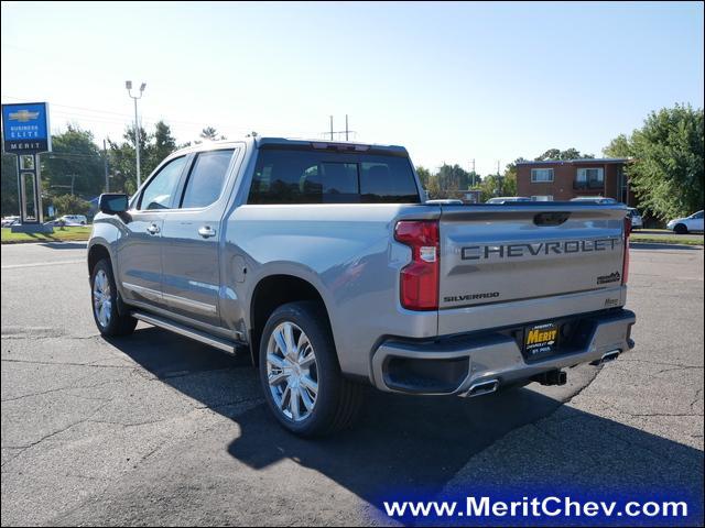 2024 Chevrolet Silverado 1500 Vehicle Photo in MAPLEWOOD, MN 55119-4794