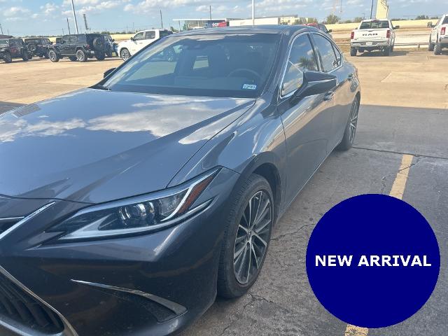 2022 Lexus ES 350 Vehicle Photo in ROSENBERG, TX 77471