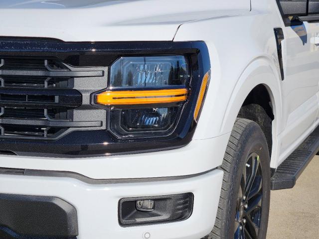 2024 Ford F-150 Vehicle Photo in Pilot Point, TX 76258