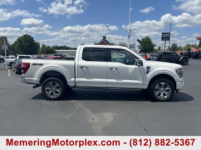 2023 Ford F-150 Vehicle Photo in VINCENNES, IN 47591-5519